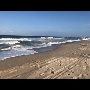 Meet your Posher, Delia